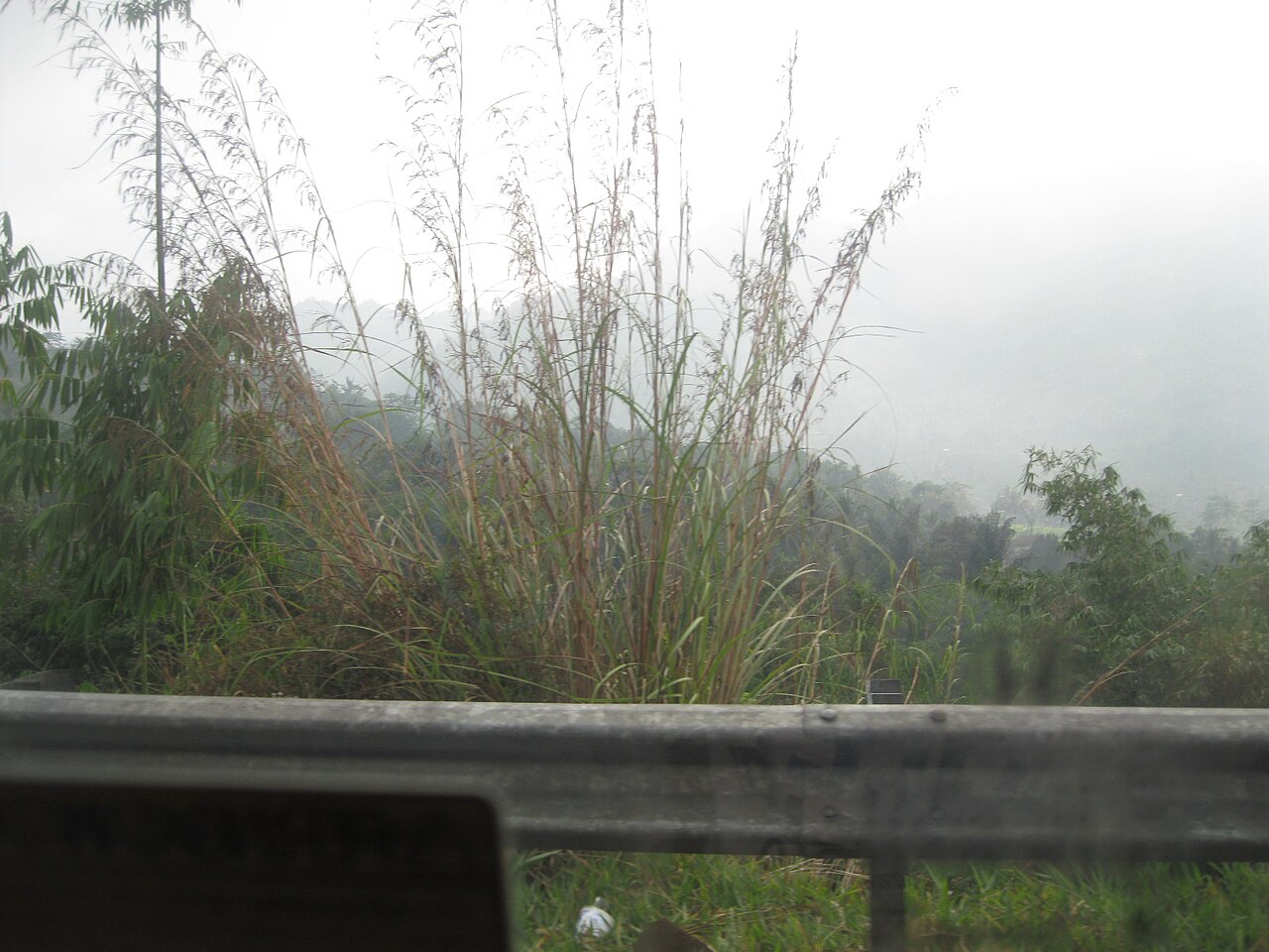 Canon Powershot A3100 IS Sample2 — photographed with Canon PowerShot A3100 IS
