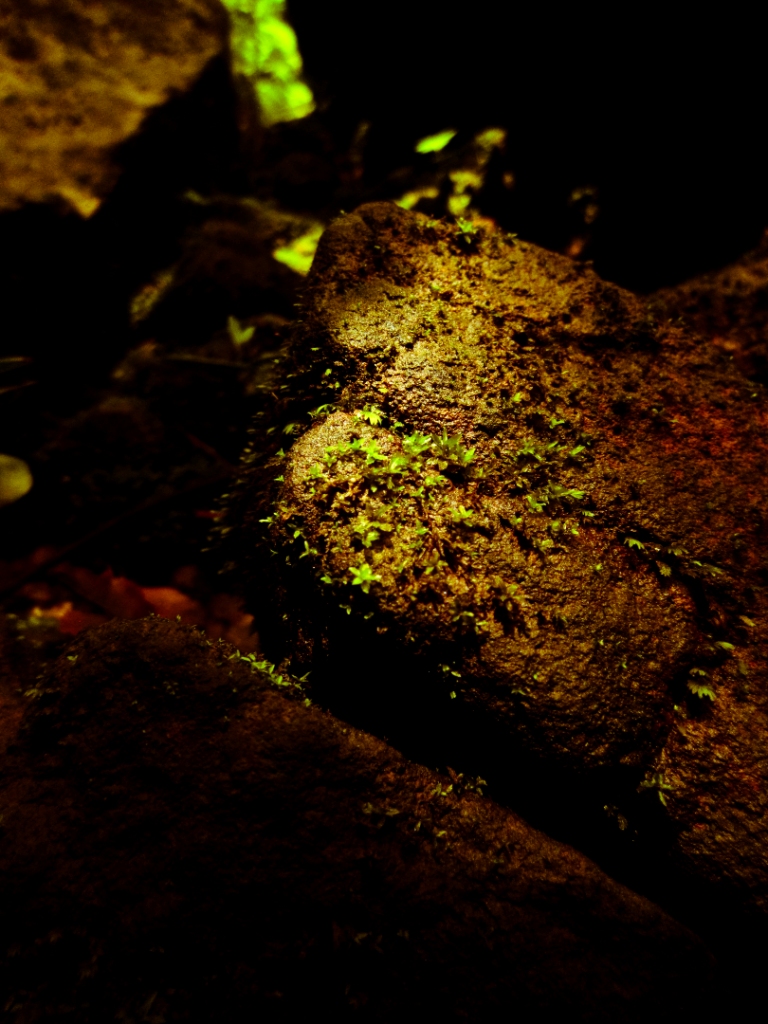 Bright ray of sunlight on rocks — photographed with Canon PowerShot SD3500 IS