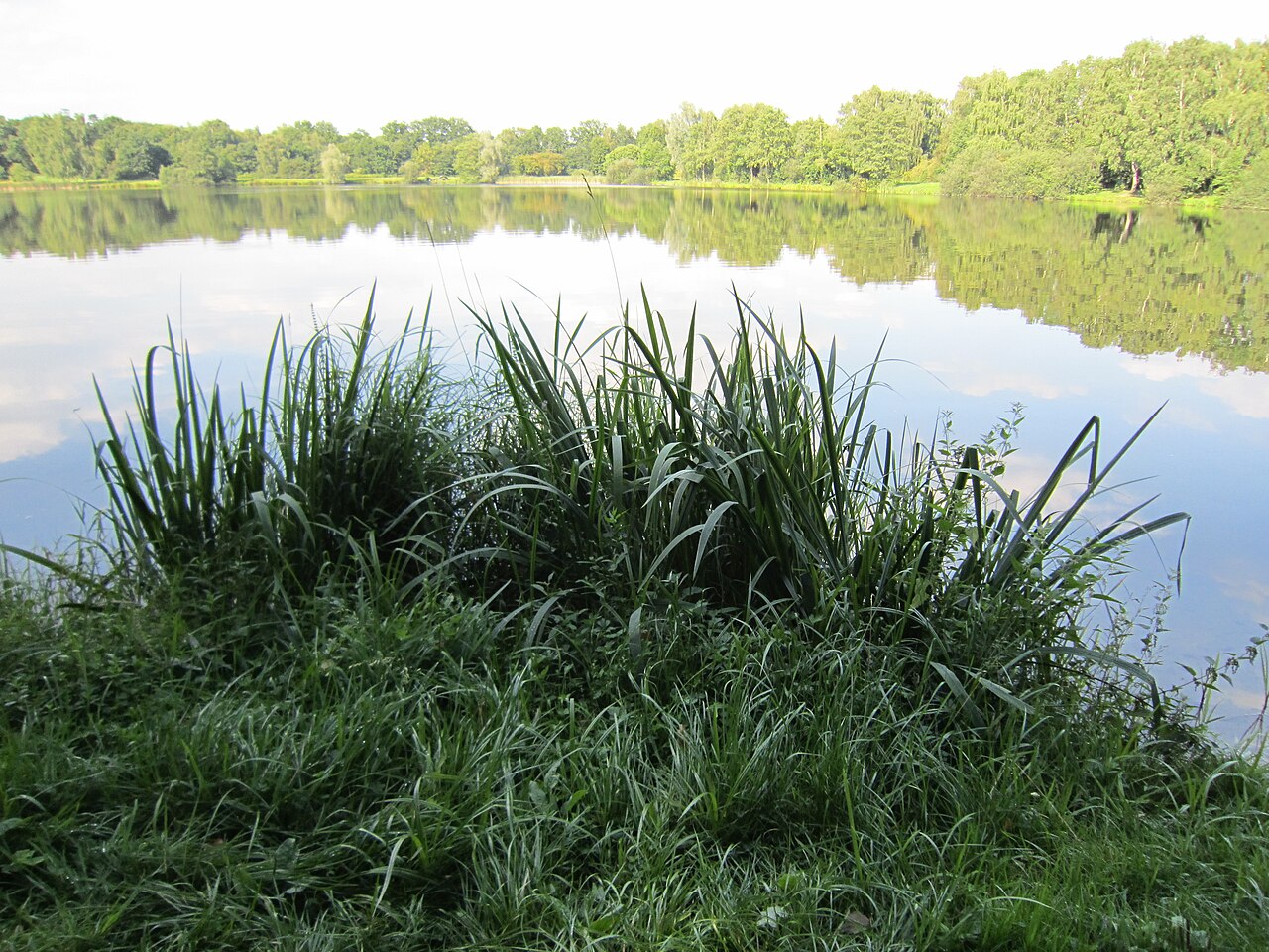 Quakenbrück Feriensee 1 — photographed with Canon PowerShot SD3500 IS