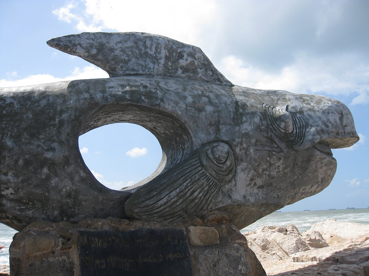 Acco IMG 2946 — photographed with Canon PowerShot SD890 IS