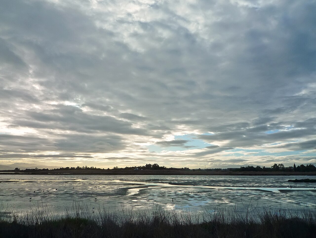 Dawn at the Slough — photographed with Panasonic Lumix DMC-FX500