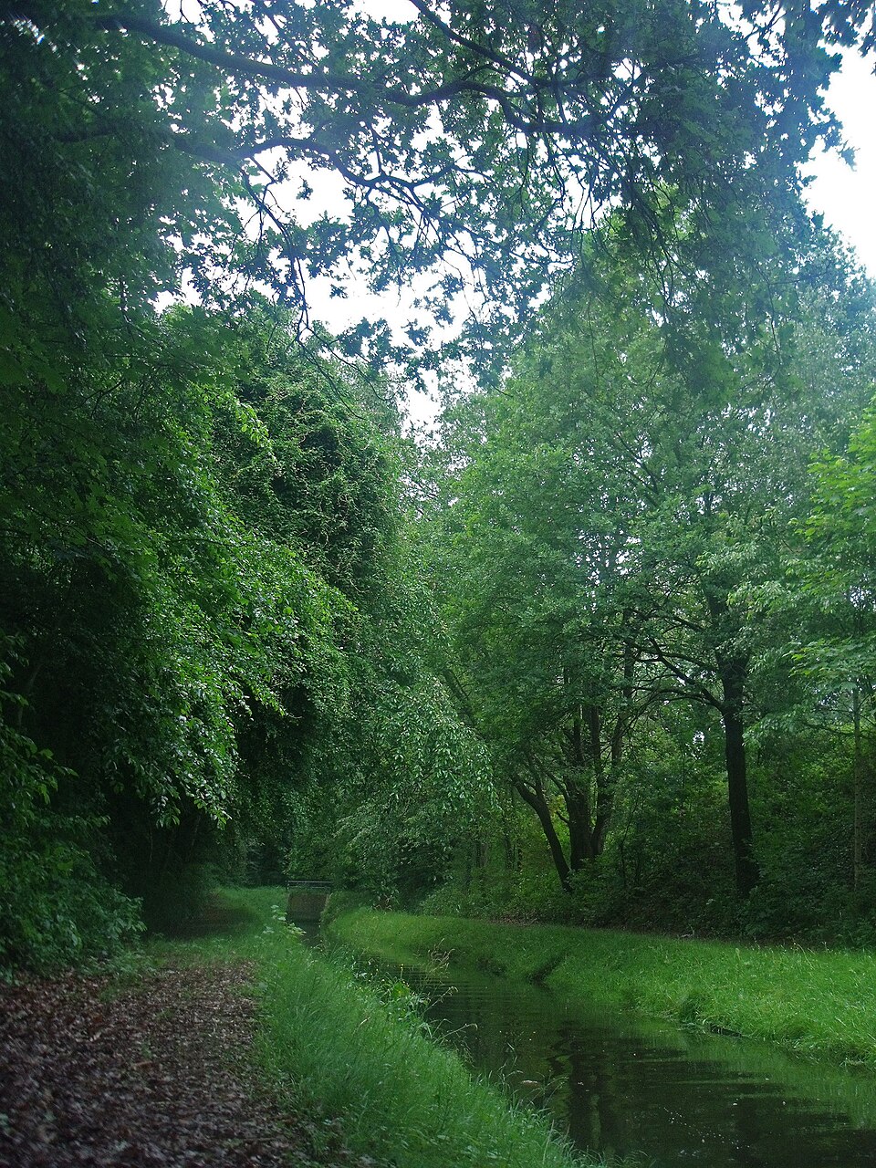 Berflobeek.jpg — photographed with Fujifilm FinePix J120