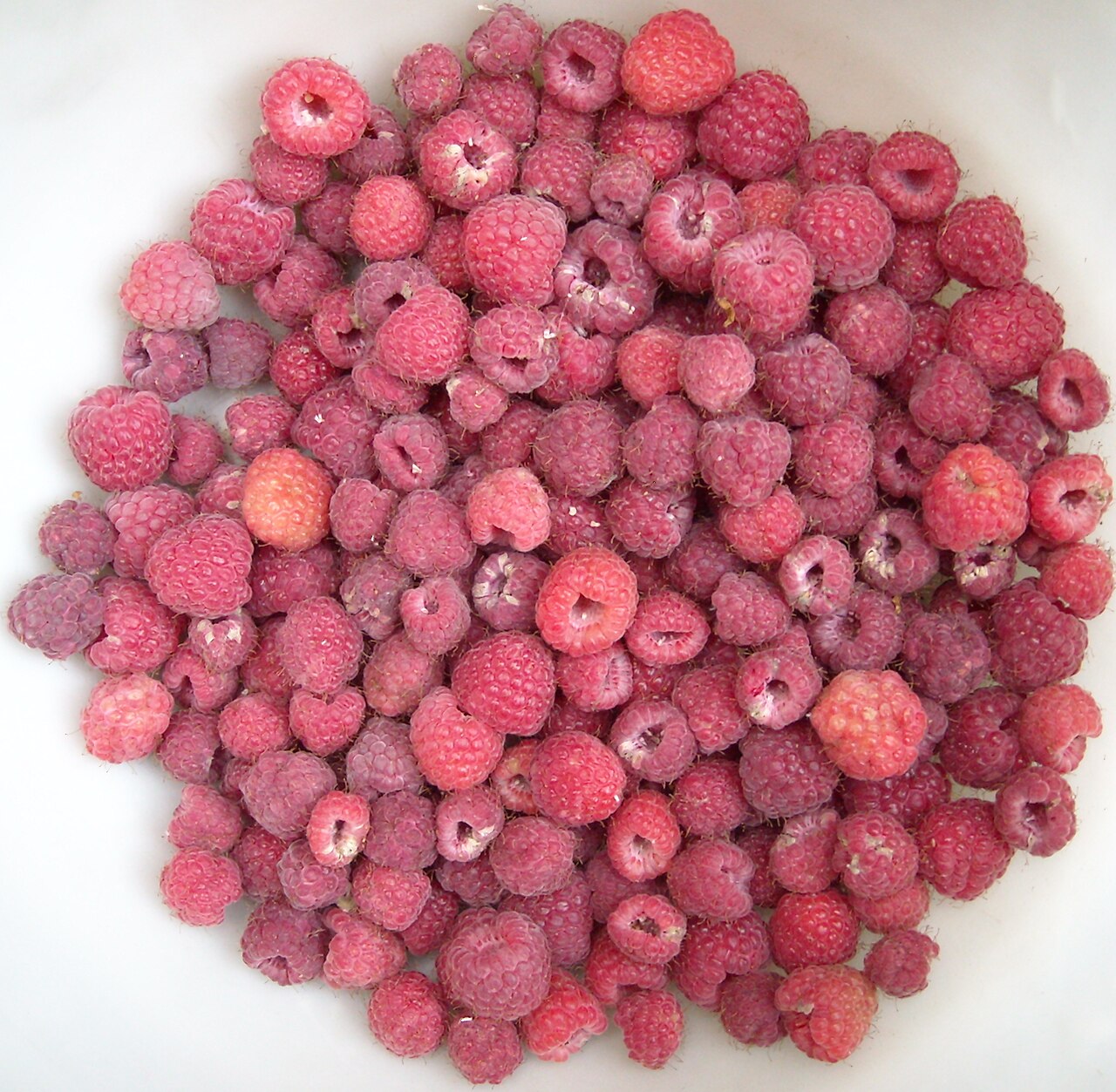 JustPickedRaspberries.JPG — photographed with Nikon COOLPIX S520
