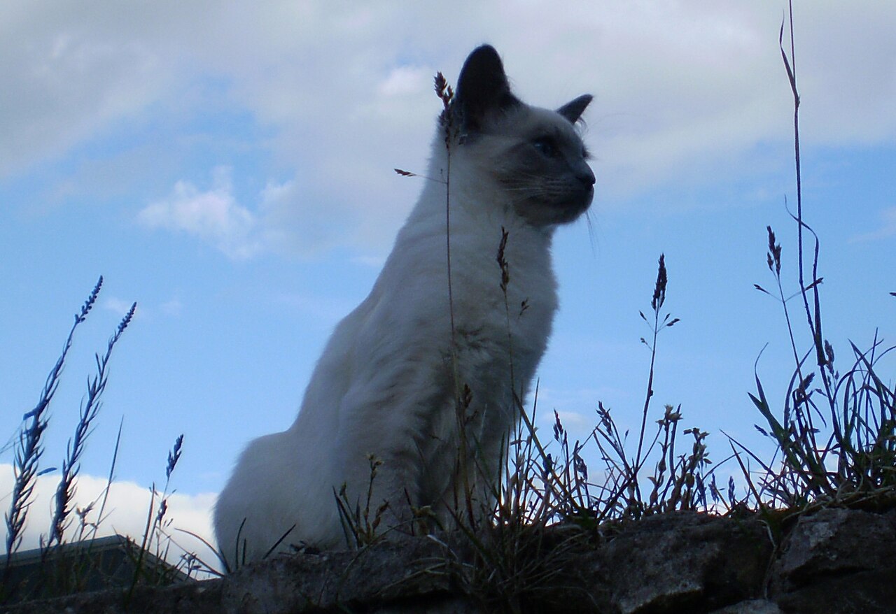 Oskar.jpg — photographed with Olympus FE-220