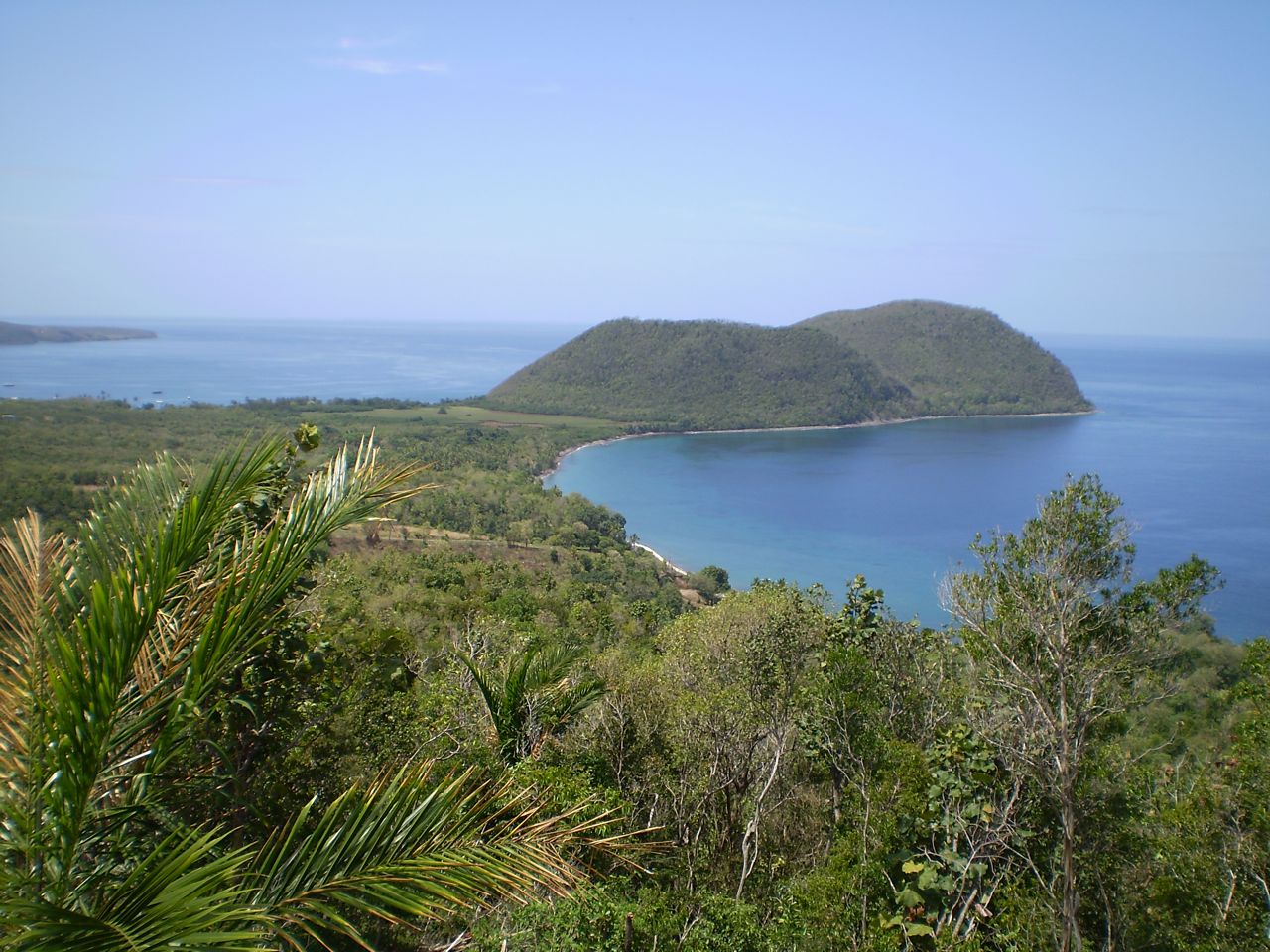 Tanetane-Dominica.jpg — photographed with Olympus FE-270